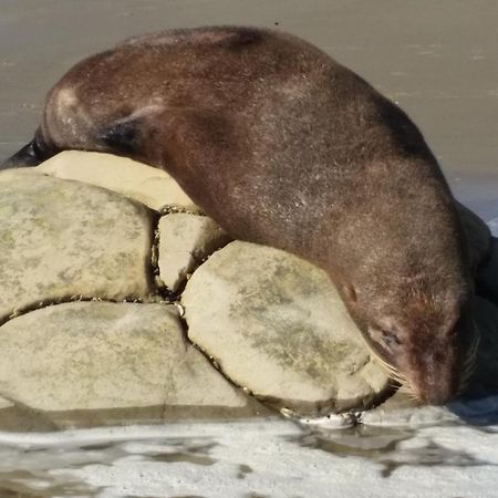Moeraki Boulders Motel Hampden Eksteriør billede