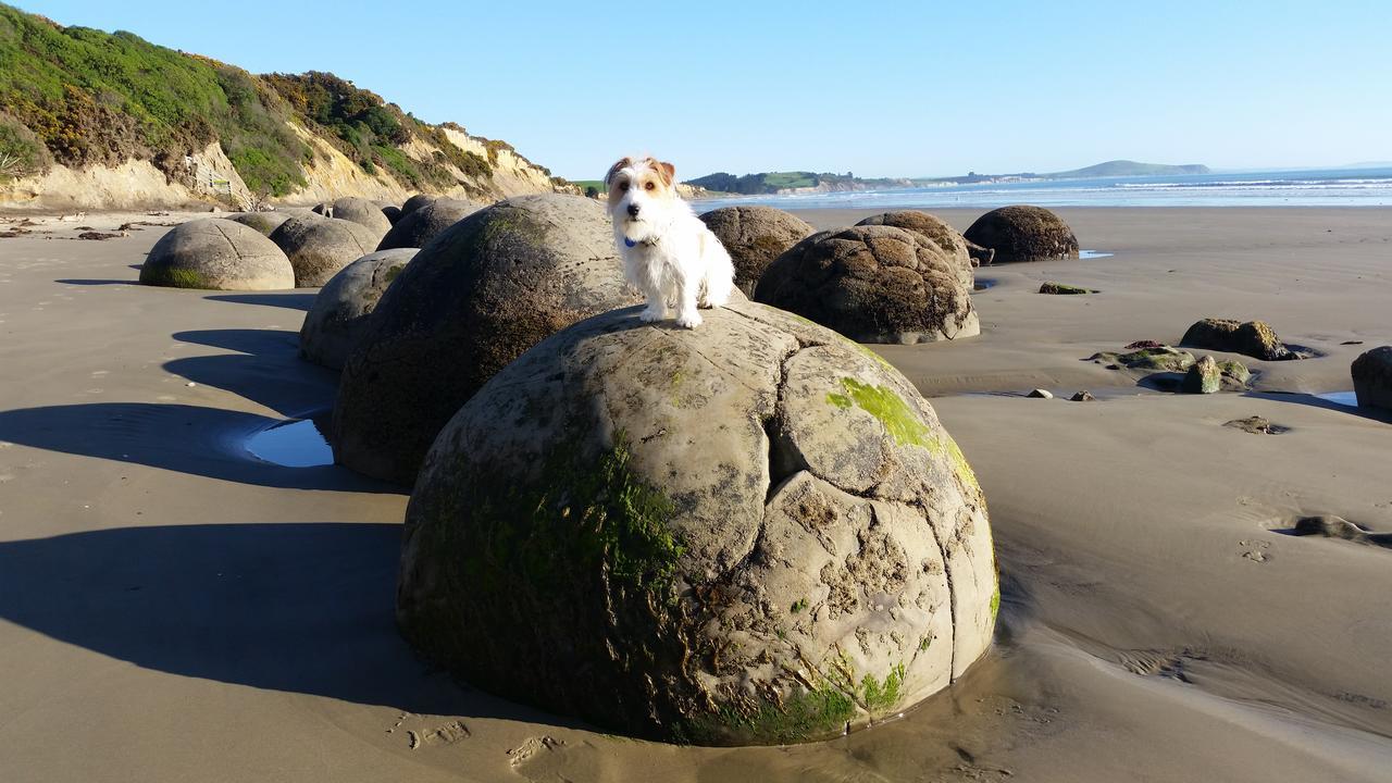 Moeraki Boulders Motel Hampden Eksteriør billede