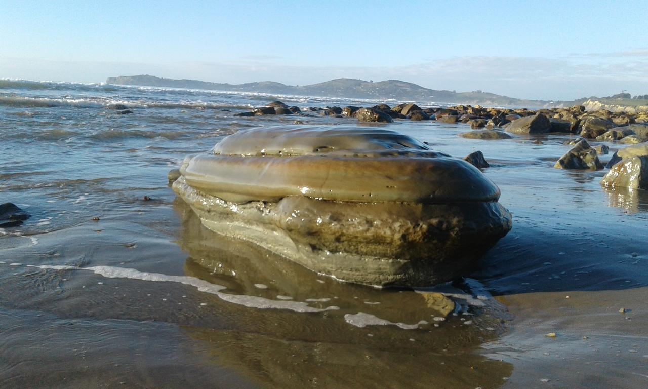 Moeraki Boulders Motel Hampden Eksteriør billede